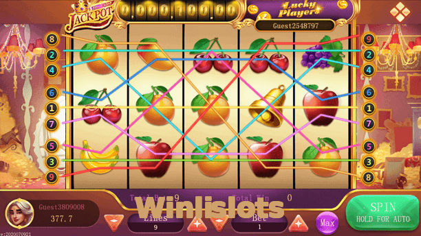 Winlislots game app for Pakistan players