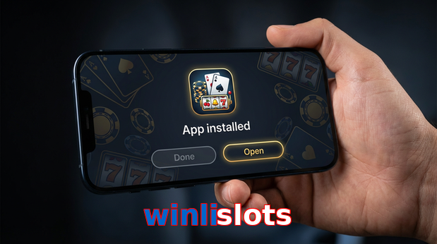 Payment and PKR controls in Winlislots